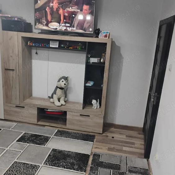 Inchiriez apartament 2 camere pe Malul Timi?ului - 1
