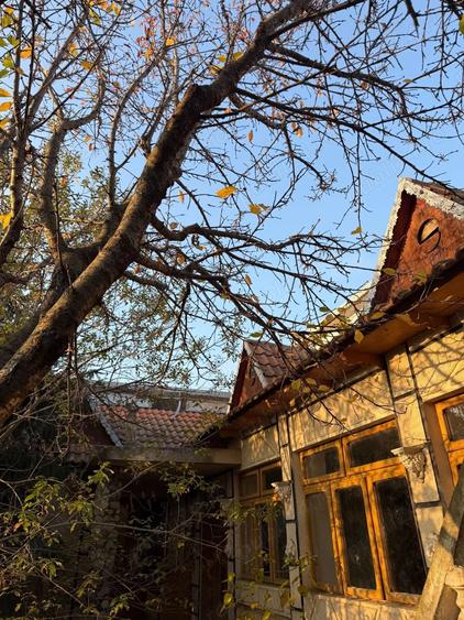 Casă cu Teren 2522 Mp în Cerna