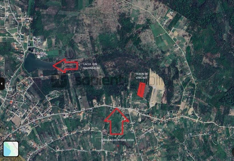 Teren agricol intravilan de 4316 mp, în Săldăbagiu de Munte