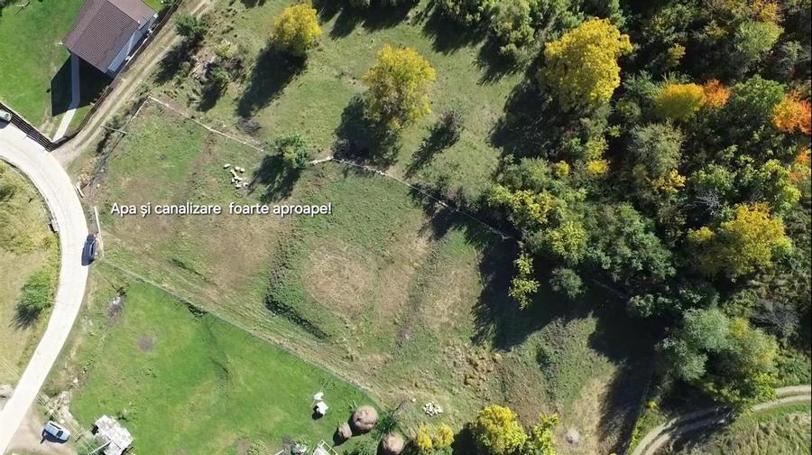 Teren Construcții intravilan de 3500 mp, în Cacica