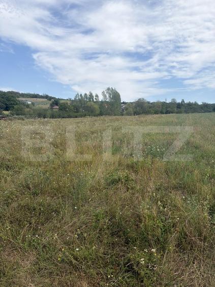 Teren agricol extravilan de 22183 mp, în Șimleu Silvaniei