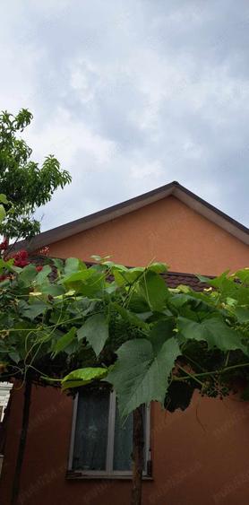 Casă cu 4 camere în Roman