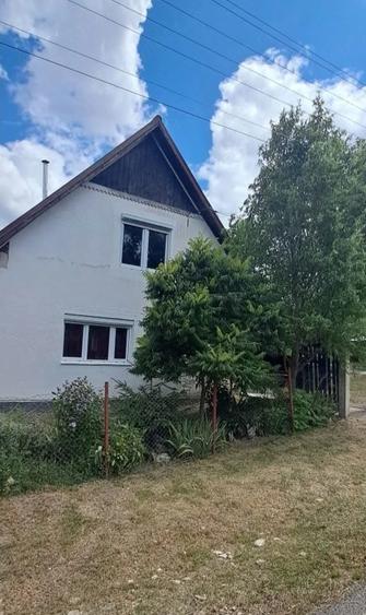 Casă cu Teren 3000 Mp în Borșa