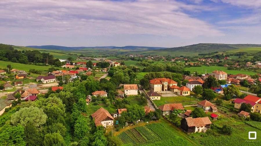 Teren de 5800 mp, în Borșa