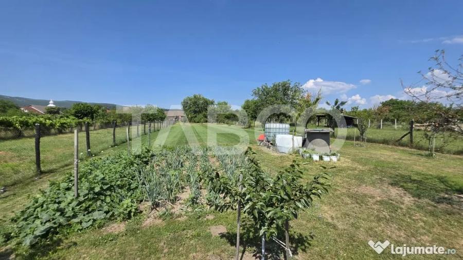 Casă cu 4 camere cu Teren 3150 Mp în Petrești