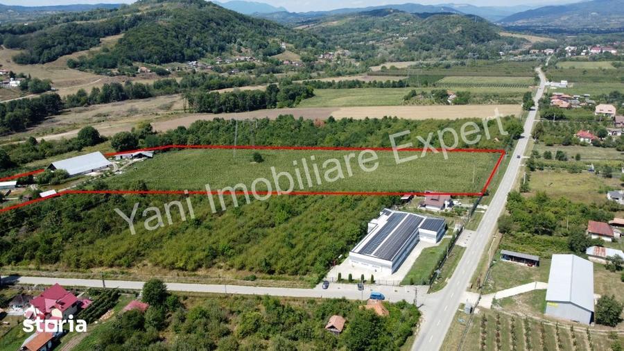 Teren de 40672 mp, în Cepari