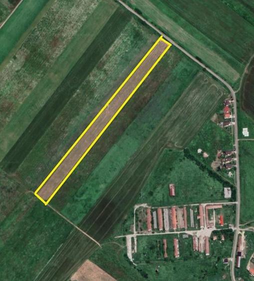 Teren de 28500 mp, în Pișchia