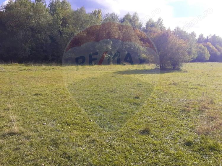 Teren de 1100 mp, în Glăjărie