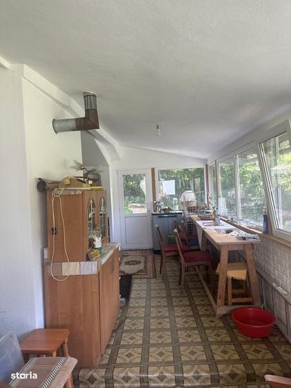 Telega - casa - teren 13000 mp/8000mp padure - 170000 Euro - 7