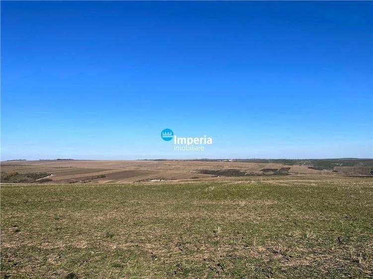 Teren agricol extravilan de 30000 mp, în Horlești (Rediu)