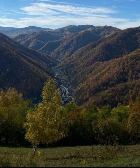 Spațiu comercial, în Plopi