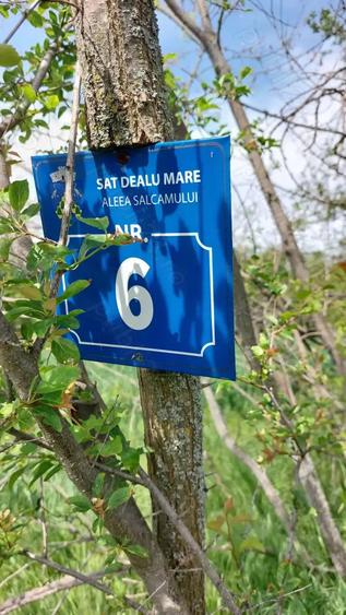 Teren în Galicea