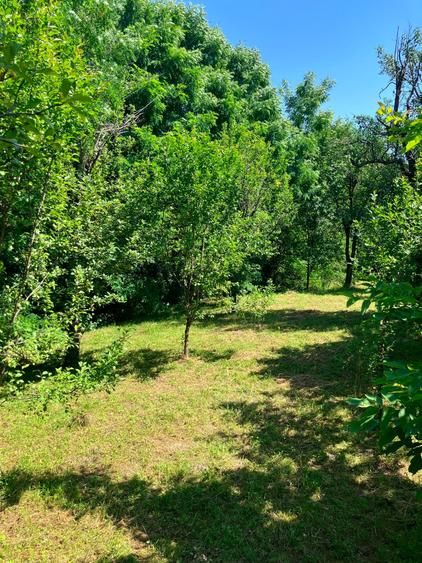 Casa  cu parau la limita proprietatii- zona submontana - 7