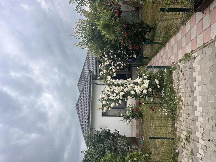 Casă cu 4 camere cu Teren 400 Mp în Cumpăna