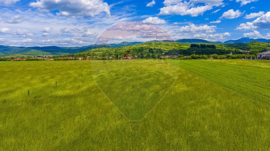 Teren Construcții intravilan de 8600 mp, în Tărlungeni