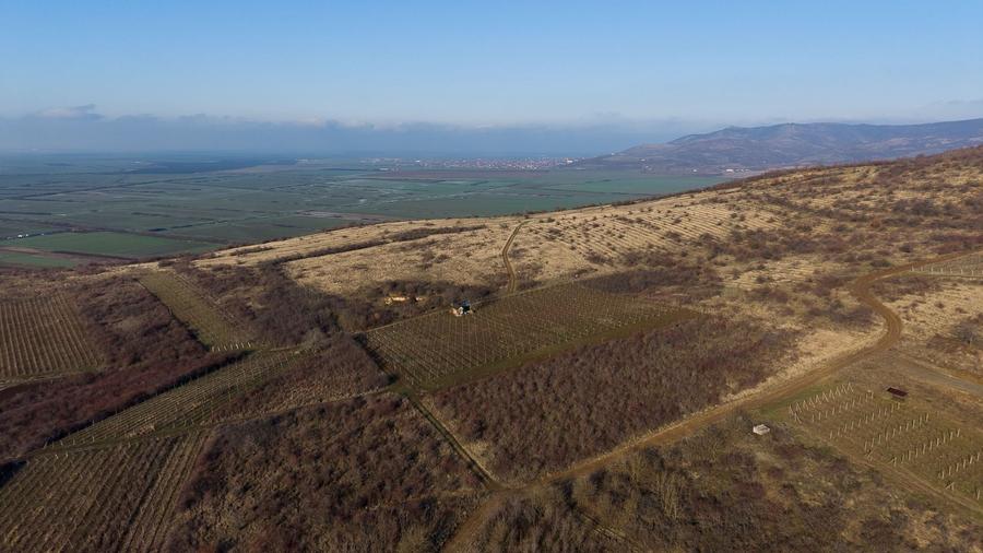 Teren agricol extravilan de 6800 mp, în Covăsinț