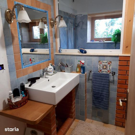 Casa noua cu 6500mp teren si anexe la Hudum - 7