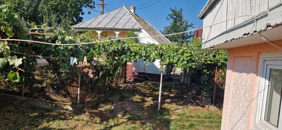 Casă cu 4 camere în Soci