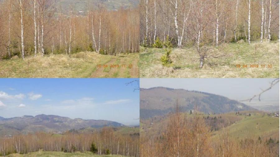 Teren extravilan de 13434 mp, în Bran