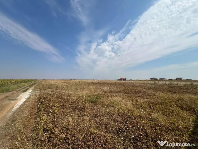 Teren în Sânandrei