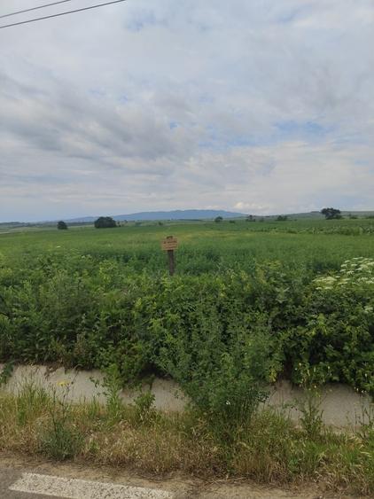 Teren de 7500 mp, în Diocheți-Rediu