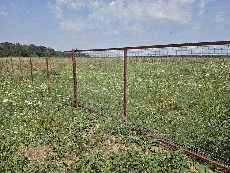 Teren de 460 mp, în Săbăreni