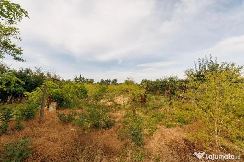 Casa+teren 2.140 mp de vanzare Ciesti, Lunca Corbului... - 11