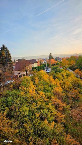 PF: Apartament 3 camere, Marasti, Gheorgheni, parcul Bibliotecii - 10