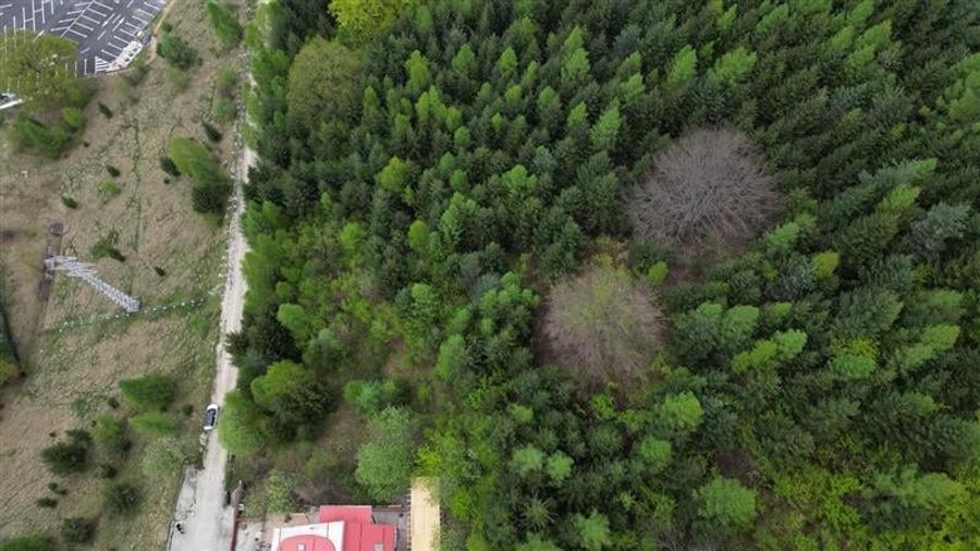 Teren Construcții intravilan de 6500 mp, în Dâmbul Morii