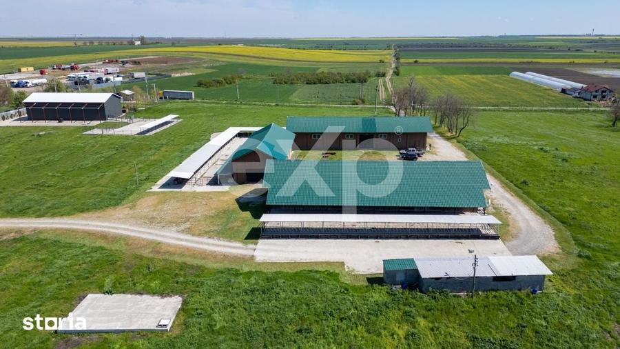 Teren de 105000 mp, în Singureni