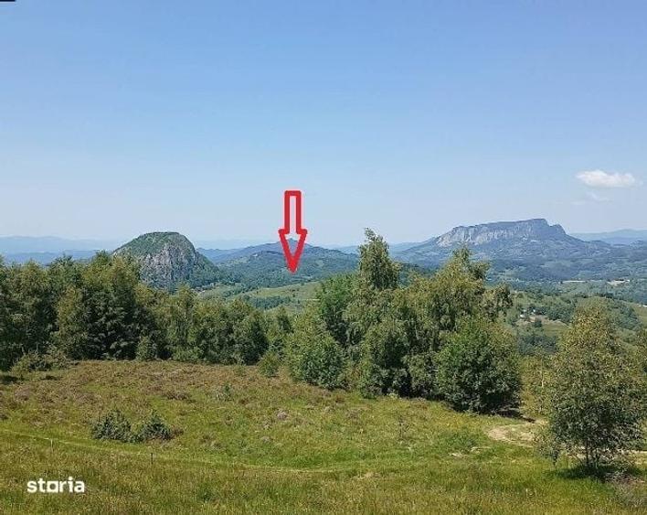 Spațiu comercial, în Ciuruleasa