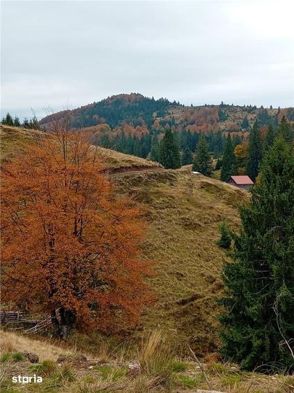 Teren de 2000 mp, în Curățele