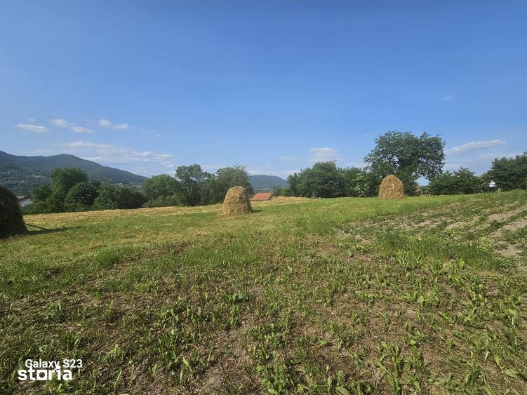 Teren de 1000 mp, în Alexandru cel Bun