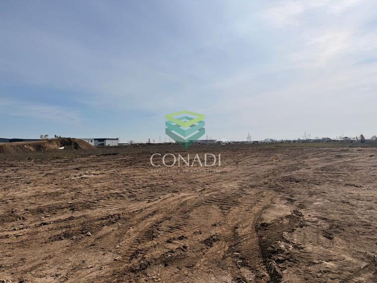 Teren Construcții intravilan de 18338 mp, în Cernica