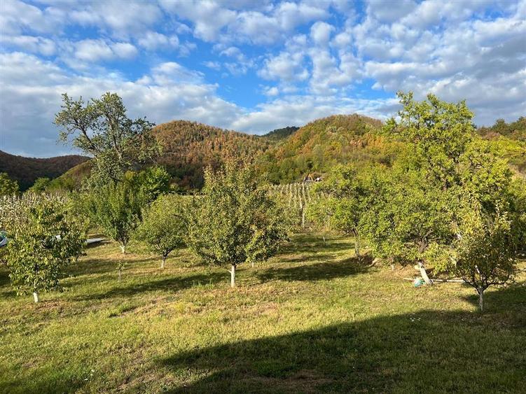 Casă individuală cu 6 camere cu Teren 5700 Mp în Cicârlău