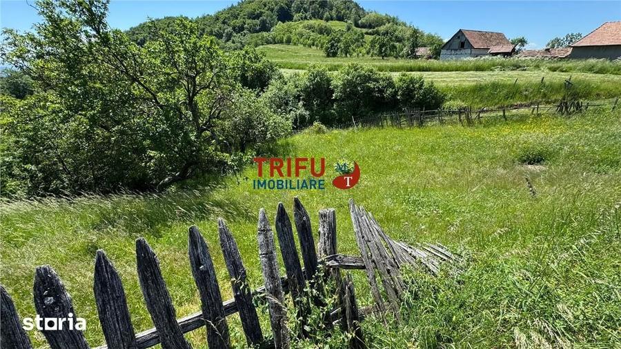 Casă cu 2 camere cu Teren 1493 Mp în Vințu de Jos