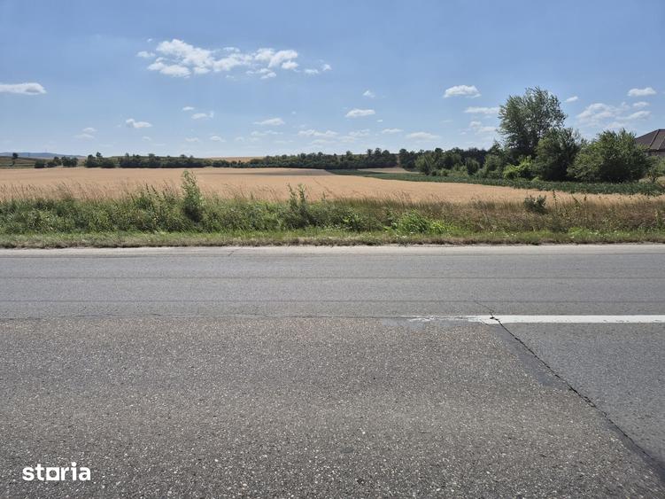 Teren de 7300 mp, în Vințu de Jos