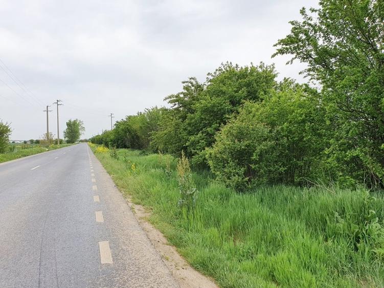 Teren agricol extravilan de 2672 mp, în Vidra
