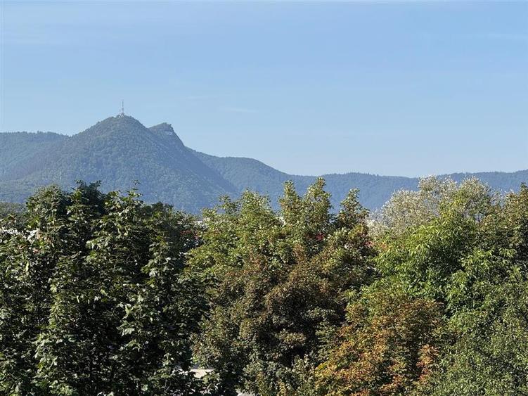 Apartament cu 2 camere decomandat în Triaj