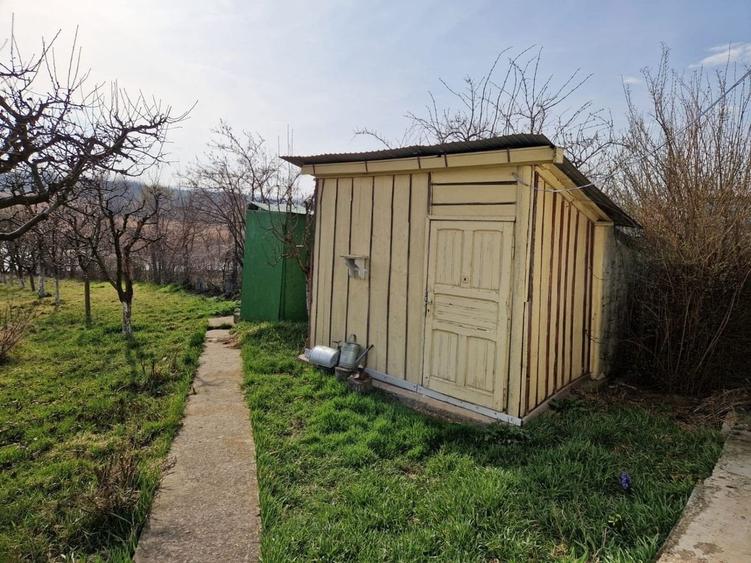 Teren în Pruni