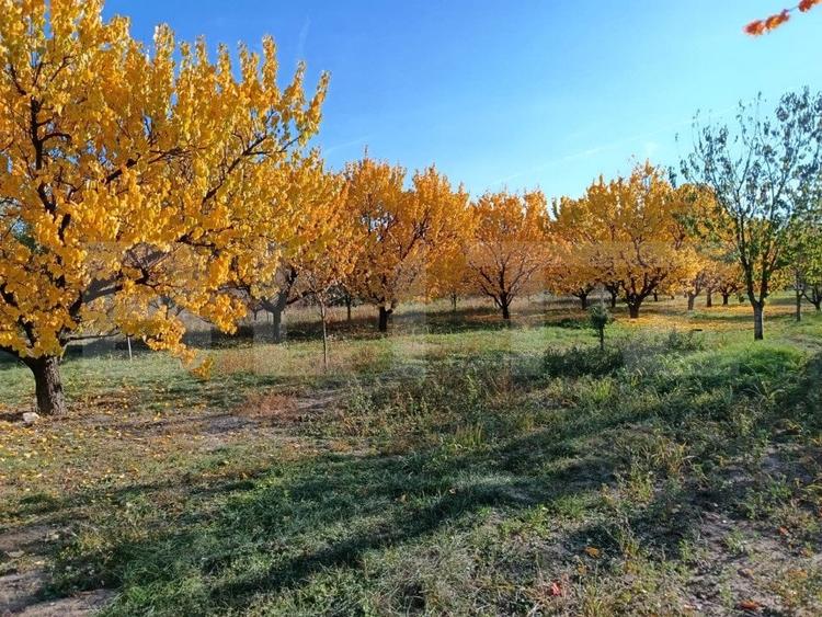 Teren Construcții intravilan de 3325 mp, în Măgurele
