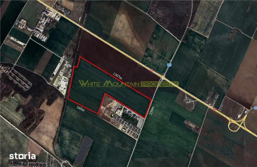 Teren de 500000 mp, în Ariceștii Rahtivani