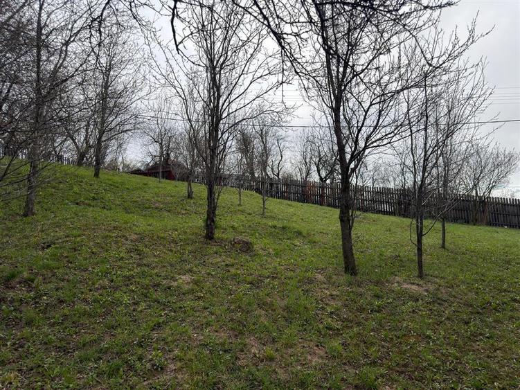 Teren Construcții intravilan de 1518 mp, în Șotrile