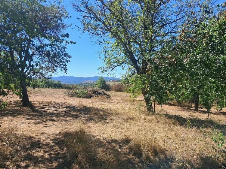 Teren de 5000 mp, în Drăgoteni