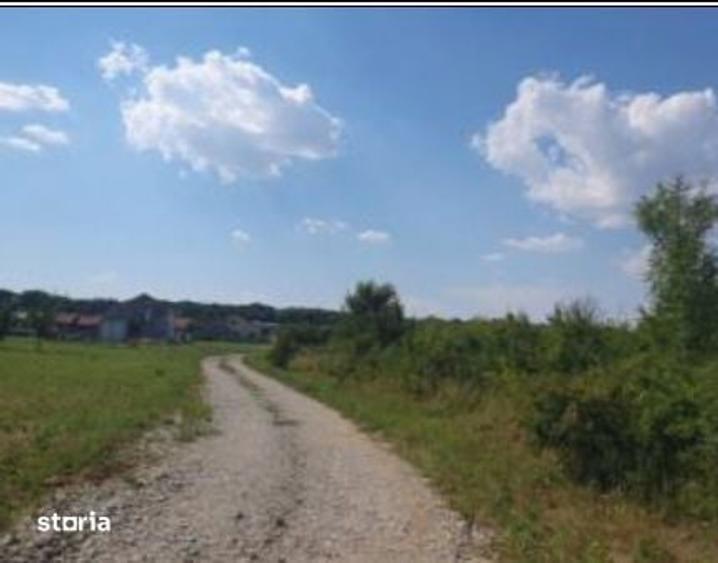 Teren de 4000 mp, în Șagului