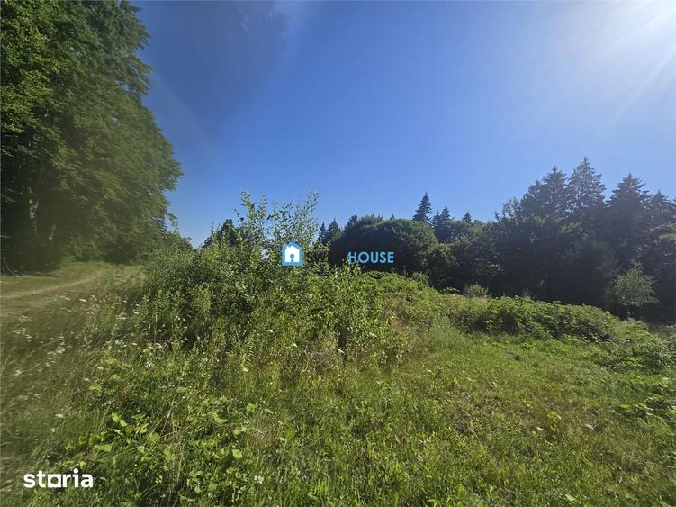 Teren de 3000 mp, în Drăguș
