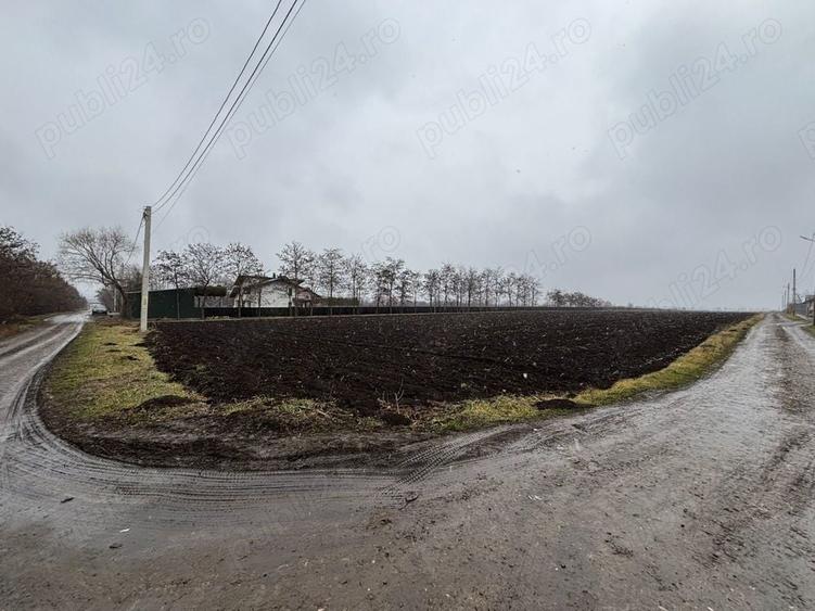 Teren de 15000 mp, în Saucenița