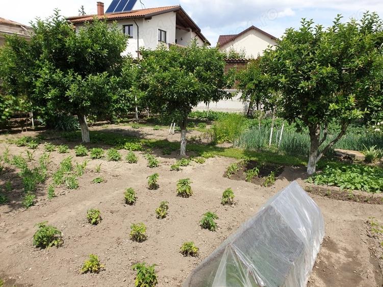 Casă cu 6 camere cu Teren 939 Mp în Central