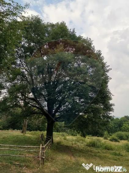 Teren în Dumbrăvița