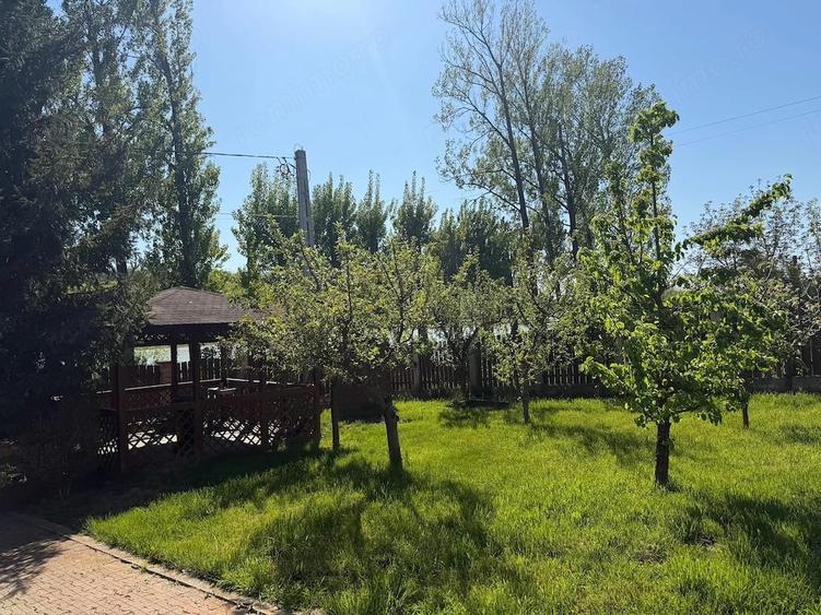 Casă cu Teren 1100 Mp în Central